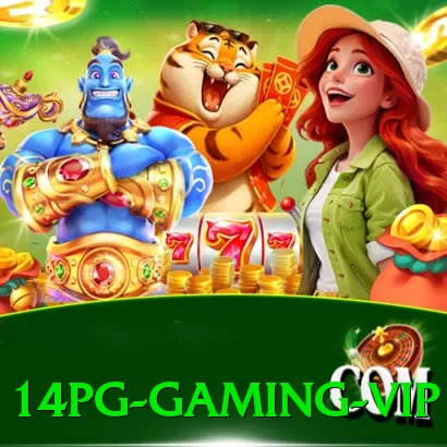 14pg Gaming VIP - pak