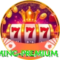 58e Gaming Premium